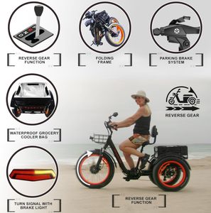 EN15194<span class=keywords><strong>สามล้อ</strong></span>ไฟฟ้าพับได้250W แพนด้าพร้อมมอเตอร์หน้า25กม./ชม. ซ่อมง่ายมีสิทธิบัตรรถสามล้อไฟฟ้าสำหรับผู้ใหญ่แบบถอยหลัง - Product Image 6