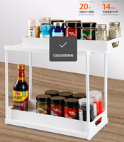 Étagère à épices coulissante à 2 niveaux pour comptoir de cuisine, rangement pour pots à épices, bouteilles et garde-manger, gain de place