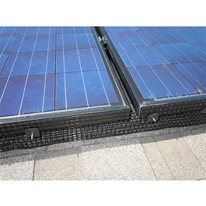 Panelbestendig Roestvrij Staal Zwart Pvc Gecoat Vogelgaas Voor Zonnepanelen