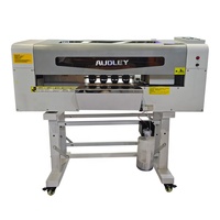 Offre Spéciale 45cm double tête I3200 Tshirt Dtf jet d'encre 17.5 pouces imprimante Machine d'impression avec secousse poudre machine et séchoir/four