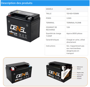 Batterie de moto LIYON 6MF9 12V 10.8Ah pour ATV, <span class=keywords><strong>scooter</strong></span>, puissance de démarrage directe d'usine, batterie UTV 300cc, moteur <span class=keywords><strong>4</strong></span> <span class=keywords><strong>temps</strong></span> ATV - Product Image 5