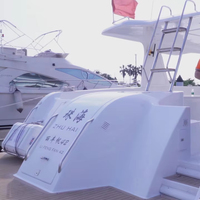 Yacht catamaran en alliage d'aluminium de luxe de 40 pieds OEM bateau de pêche à passagers de 12.36 m 12 bateaux à rames couleur personnalisée pour la dérive