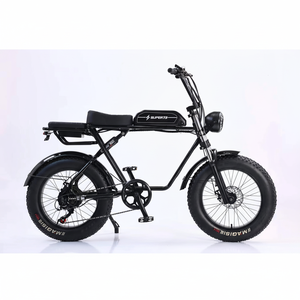 Triciclo Eléctrico de 3 Ruedas para Adultos, Disponible en Stock, Velocidad Única, 48V 600W, Freno de Tambor, Marco de Acero con Alto Contenido de Carbono - Product Image 1