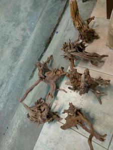 <span class=keywords><strong>En</strong></span> gros aquarium ornements arbre <span class=keywords><strong>bois</strong></span> <span class=keywords><strong>flotté</strong></span> décoration utilisé pour l'aquarium d'embellissement - Product Image 4
