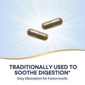 Groothandelsleverancier Oem & Odm Pepermunt Capsule Voor Spijsvertering Gezondheid Kruidengezondheidszorgsupplementen - Product Image 5