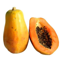 Variedad Comercial Híbrida para Cultivo de Papaya, 99% de Pureza, 80% de Germinación, Estructura de Planta Fuerte, Excelente Uniformidad de Cosecha, Amarilla