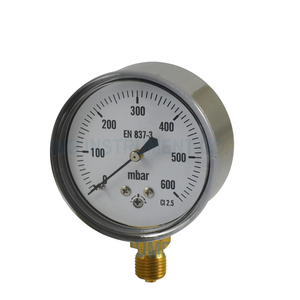 전기 도금 황동 저압 Mbar 게이지 캡슐 압력계 - Product Image 1