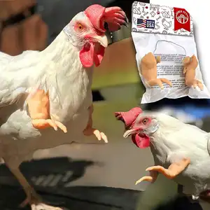 Songci 치킨 장난감 스푸핑 애완 동물 테마 파티 농장 개그 선물 재미있는 근육 새 앞다리 장식 닭 암탉을위한 닭 팔 장난감