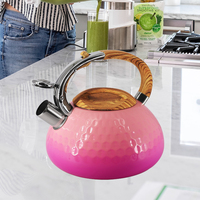 Théière à sifflet 3L pour cuisinière, en acier inoxydable écologique avec poignée en alliage de zinc et couvercle, compatible gaz et induction, pour l'eau, modèle Europe