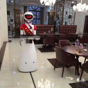 <span class=keywords><strong>Robot</strong></span> de Entrega de Comida para Gatos - Product Image 2