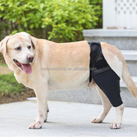 Attelle de genou pour chien de compagnie de Style simple déchiré ACL pattes postérieures et chat canin stabilisateurs de jambe avant enveloppement Halloween attelle soutien manches pour chien