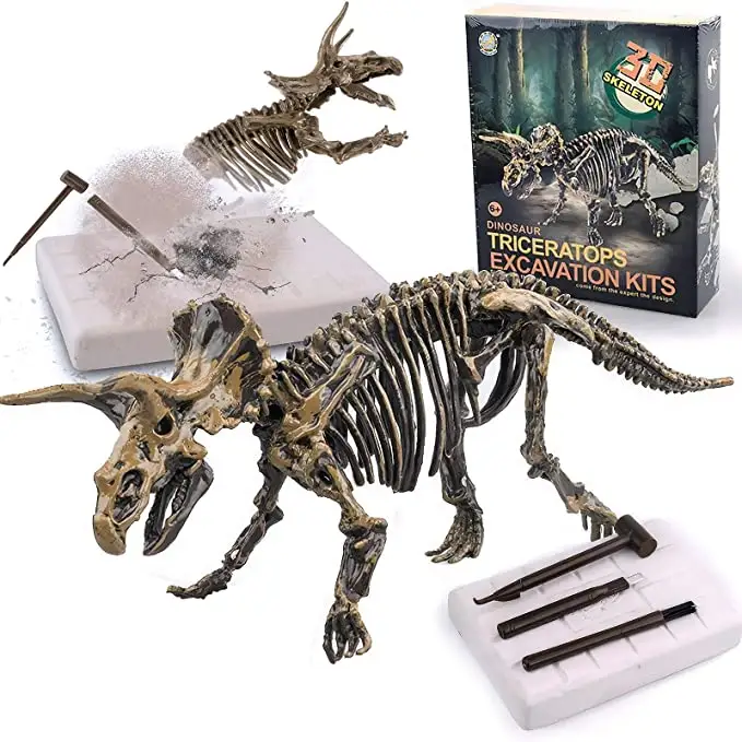 Kit de Ciencia de excavación de huesos de fósil para niños, juego de dinosaurios de esqueleto de dinosaurio, kit de excavación de fósil en 3D