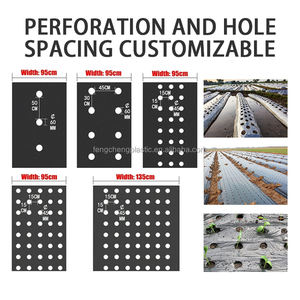 Feuille de <span class=keywords><strong>paillage</strong></span> de tomate pour la couverture du sol et la rétention d'humidité Film de paillis en plastique rayé noir - Product Image 6