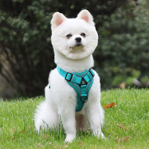 Small <b>dog</b> <b>leash</b>, vest-style harness, <b>dog</b> walking <b>leash</b> for small and medium-sized <b>dogs</b> such as Bichon Frise, Teddy, and - Product Image 1
