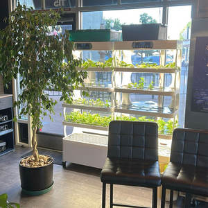 Petit jardin hydroponique LED pour la maison, système de culture de plantes d'intérieur avec pompe et contrôle PLC - Product Image 3