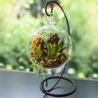 Prix usine Vase en verre borosilicaté Plantes artificielles Pot Vase en verre Plante Terrarium