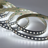 Bande LED RGBW IC 4040 à puce 100D 24V USB adressable et programmable 12mm IP65 pour aménagement paysager commercial, télécommande/Wi-Fi, CRI 90 élevé