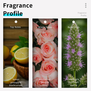 Vilily 38ml <span class=keywords><strong>Parfum</strong></span> pour homme EDP longue durée Vaporisateur <span class=keywords><strong>Parfum</strong></span> pour le corps Bois Citron <span class=keywords><strong>Patchouli</strong></span> Utilisation à domicile - Product Image 3