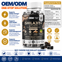 Gummies de Complexe d'Acide Fulvique et de Shilajit à Marque Blanche OEM, 60 Unités, Complément Alimentaire pour Adultes, Vente en Gros en Carton