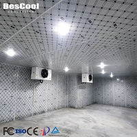 Chambre froide industrielle de grande taille, solution clé en main pour entrepôt frigorifique, -40°C, pour usine de transformation de produits de la mer, projet clé en main