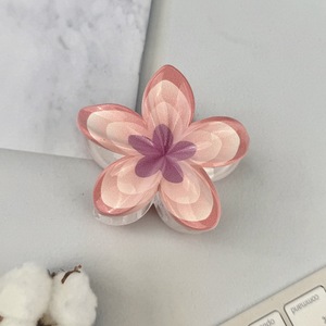 Pinza para el pelo con diseño de flor degradada y plato de huevo multicolor para un peinado creativo y dulce - Product Image 4