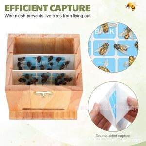 Piège à guêpes en bois de style cabane, à suspendre, pour extérieur, écologique, lutte antiparasitaire - Product Image 4
