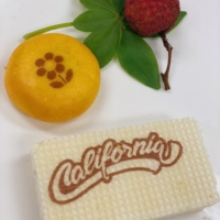 Imprimante alimentaire numérique 3D EVEBOT PrintPen à jet d'encre comestible pour café, pizza, gâteaux et latte art DIY – En vente