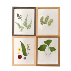 Cornice Espositiva Bifacciale in Legno Massello <span class=keywords><strong>con</strong></span> <span class=keywords><strong>Vetro</strong></span> Vero e Esemplari di Piante Pressate Fatte a Mano, 68 Pollici A4 - Product Image 5