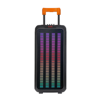 NDR1098 Haut-parleur stéréo actif double de 8 pouces pour karaoké extérieur Mic sans fil LED RVB pour Bluetooth USB DJ Batte
