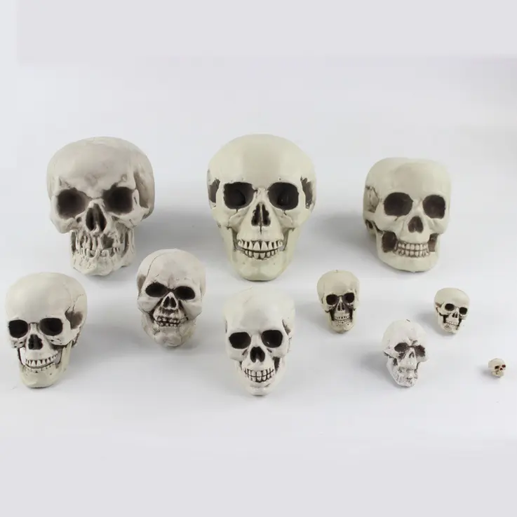 ฮาโลวีนโครงกระดูกมนุษย์หัวโครงกระดูกที่น่ากลัวหัวพลาสติก Halloween Skeleton Skull Head