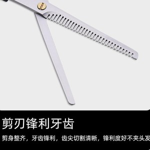 Tijeras para adelgazar el cabello, herramienta profesional de corte de pelo con mango largo y punta roma de acero inoxidable para uso doméstico - Product Image 3