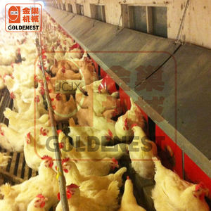 אוטומטי ציפור קן ביצה/משלוח טווח עוף ביצת קן קופסות לנקבה מגדל ונחת תרנגולות - Product Image 5