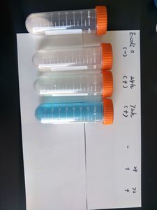 Polvo de prueba de agua, prueba rápida de escheriquia - Product Image 3