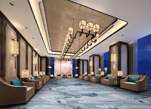 Moquette d'hôtel en nylon tissé imprimé, usage commercial, zones à fort trafic, design moderne, mur à mur, résistante au feu - Product Image 5