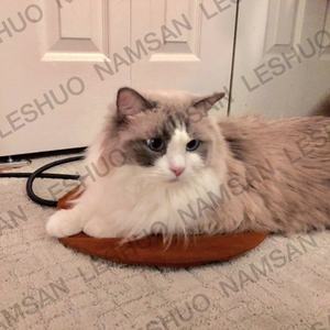 Sicherheit Indoor Cat Dog <span class=keywords><strong>Pet</strong></span> Betten Elektrische Heiz decke mit kostenloser Abdeckung für Haustier - Product Image 6