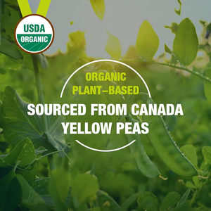 Poudre de protéines de pois hydrolysées biologiques de haute qualité, marque privée, complément protéiné pour la récupération et la croissance musculaire, et la santé cardiaque - Product Image 3