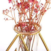 Tube à essai hydroponique en paille verte en verre créatif table à fond plat arrangement de fleurs tube de support décoration en fer