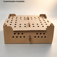 Boîtes de transport en carton ondulé à double paroi pour poussins vivants d'un jour, fabriquées en usine