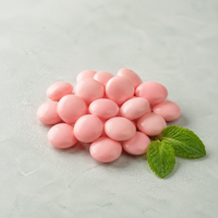 Bonbons à la menthe sans sucre au xylitol, saveur multi-fruits glacés, 60g, fabricant OEM & ODM