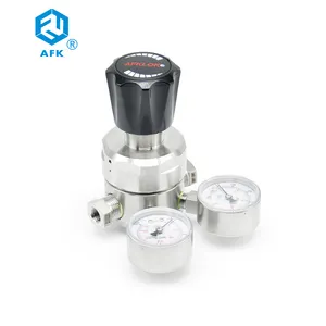 AFK R12 doppio manometro 3 / 4 Inch PT F regolatore di pressione del Gas a stadio singolo in acciaio inossidabile