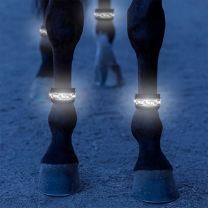 Licollinli — bande lumineuse <span class=keywords><strong>de</strong></span> sécurité LED, accessoire lumineux pour les jambes du <span class=keywords><strong>cheval</strong></span> - Product Image 3