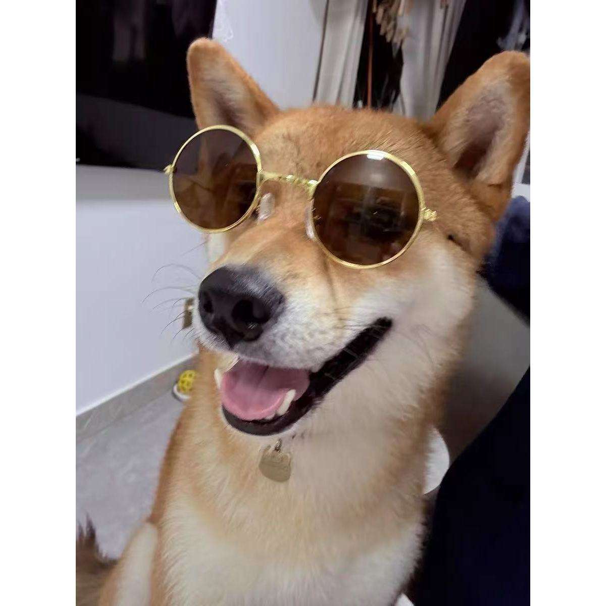 ชาทอง (ทรงกลม, 12 ซม.)