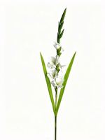 Arrangement de fleurs artificielles Gladiolus pour la vente en gros, décoration d'entrée pour mariage, hôtel, restaurant, café, fleurs artificielles
