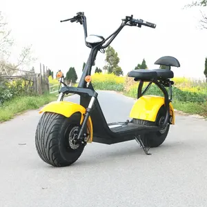 1500w 2000w gordura pneu citycoco scooter elétrico israel/3000w motocicleta elétrica lojas/veículos da fazenda elétrico