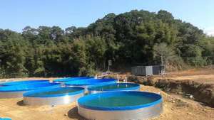 Tanque de <span class=keywords><strong>peces</strong></span> de PVC, acuicultura, hojas galvanizadas, Acuario de <span class=keywords><strong>peces</strong></span> para <span class=keywords><strong>peces</strong></span> Koi/Tilapia/<span class=keywords><strong>Guppy</strong></span> Fish - Product Image 4