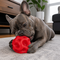 Balle distributrice de friandises pour chien, moderne, écologique, petite, irrégulière, en TPE, jouet interactif anti-fuite pour animaux, résistant aux morsures, jouet à mâcher pour les dents.
