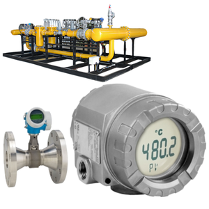 Débitmètre Flow Control Skid Endress+Hauser Proline Prowirl O 200 et capteur de température ITEMP TMT162 - Product Image 6