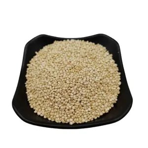 Quinoa bianca biologica Quinoa sfusa Quinoa biologica in vendita