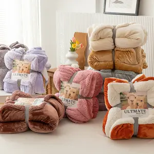 Double Layer Flannel Sherpa Autumn Winter Warm Bed Blanket Sofa Lunch Nap Blanket Throw Blanket Multicolor Available In Stock