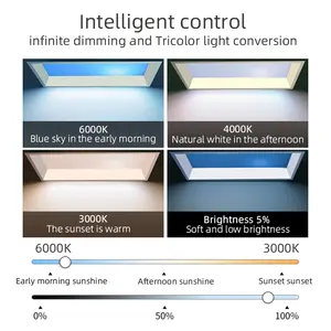 Aisilan Smart App Remote Control Color Led Potlight Dimmable Large Window Blue Sky Led Ceiling Panel Light
